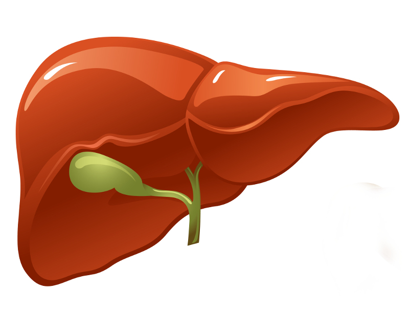 Hepatitt C