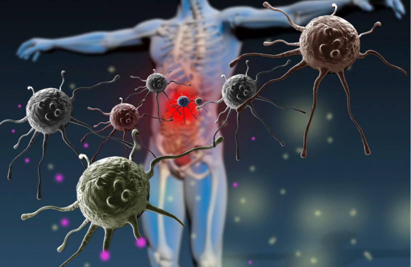 Spesisfikke immunforsvaret