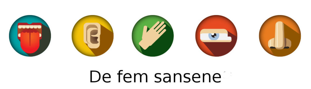 Fem "klassiske" sanser: Smak, hørsel, berøringssans, syn og lukt. Bilde: www.modrobotics.com