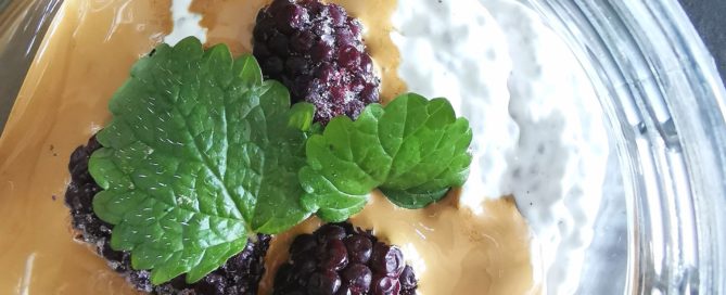 Chiapudding med dalgona