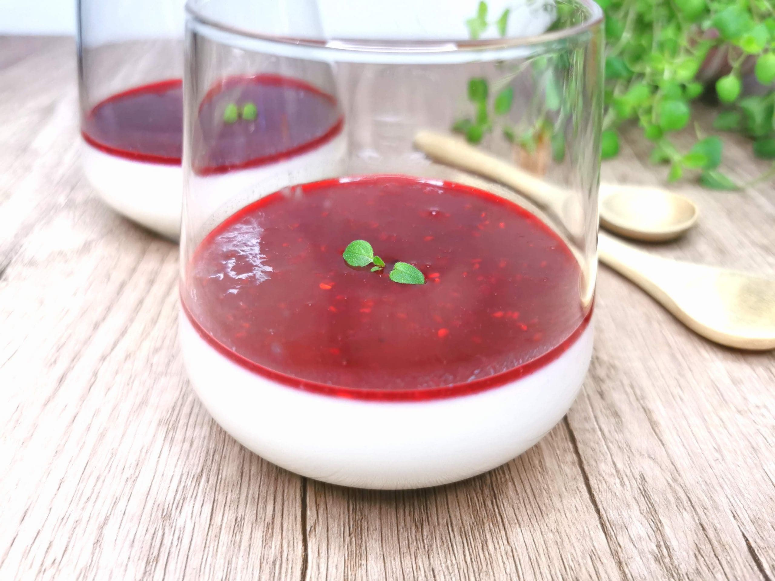 Lavkarbo panna cotta uten melkeprodukter