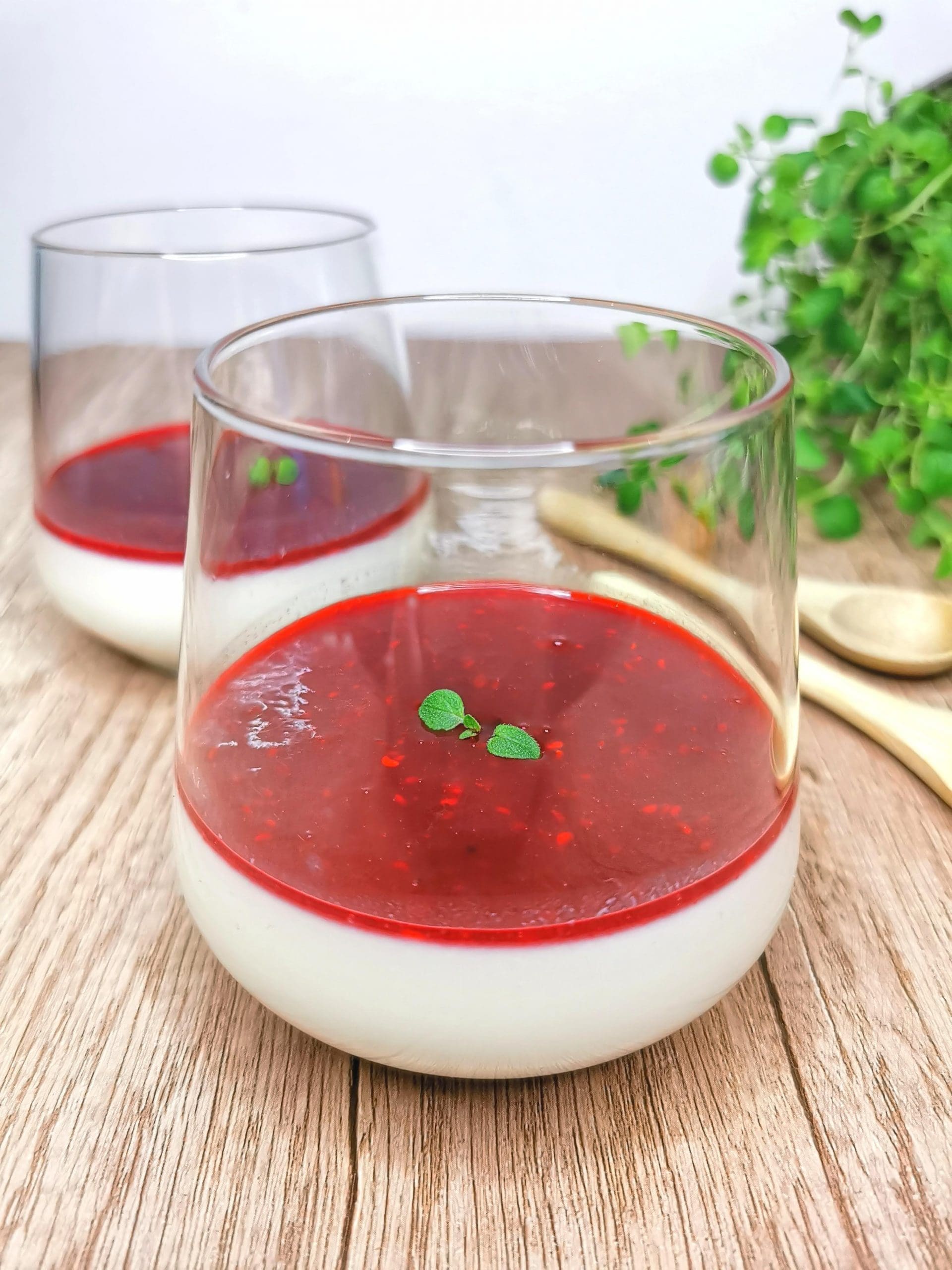 Lavkarbo panna cotta uten melkeprodukter