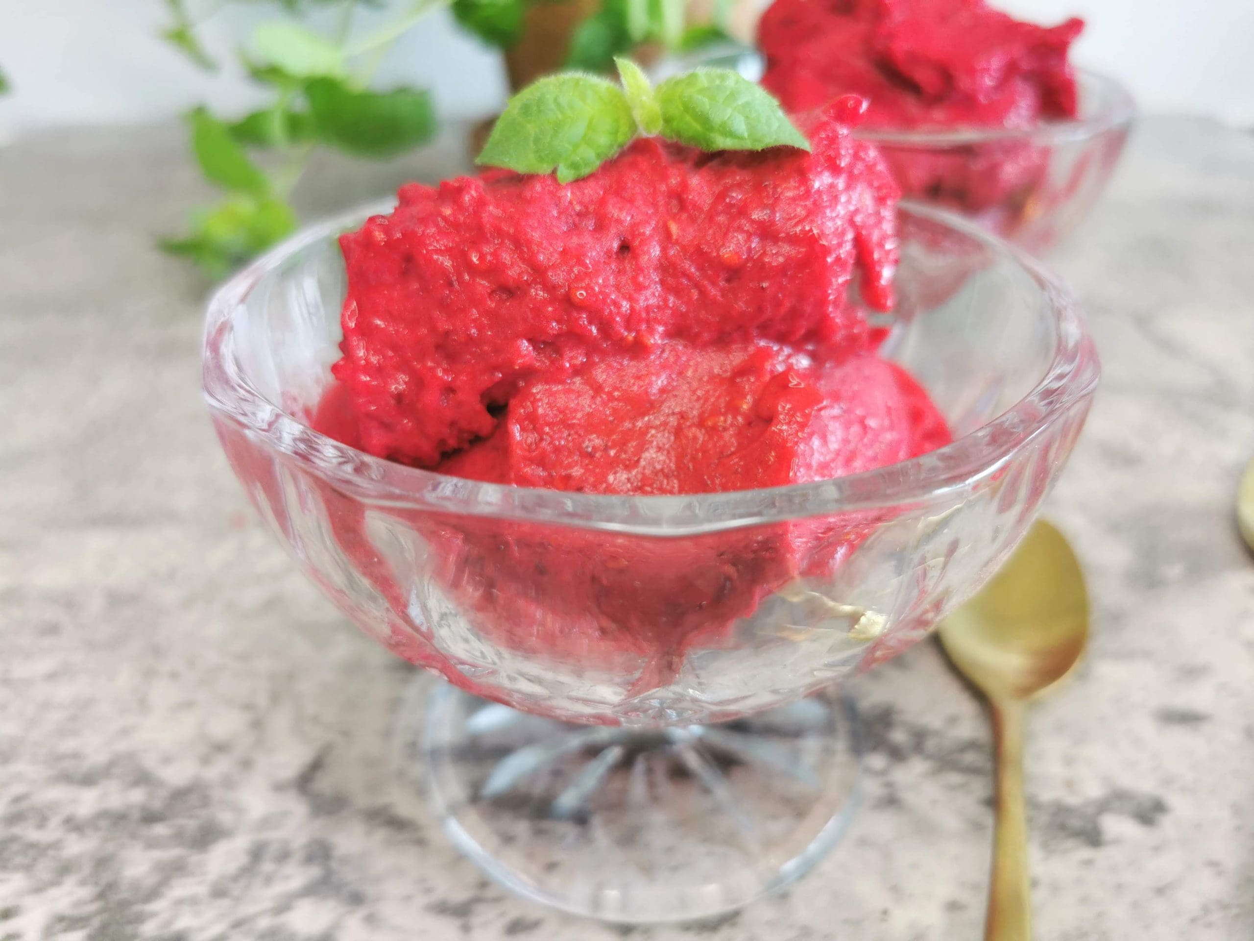 Lavkarbo bringebærsorbet